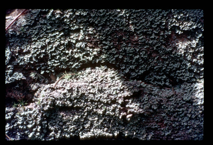 Slide112.jpg